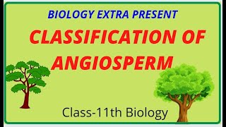 Classification of Angiosperm [upl. by Rofotsirk]