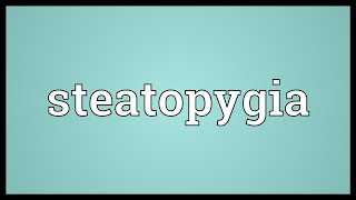 Steatopygia Meaning [upl. by Elleined395]