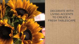 A Simple Style Guide to Coffee Table Decorations  Pottery Barn [upl. by Ainalem474]