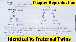 Twins  Identical And Fraternal Twins  Class 12 Biology [upl. by Ethban]