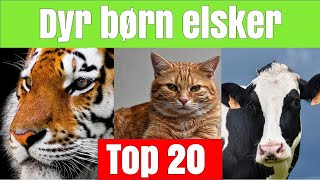 Dyr børn elsker top 20 favorit dyr [upl. by Derry]