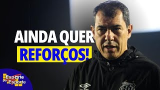 CARILLE AINDA QUER REFORÇOS PARA O SANTOS NA SÉRIE B  LIVE [upl. by Bijan]