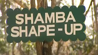 Shamba Shape Up clips  Napier Grass [upl. by Ahtoelc]