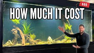 500 Gallon Plywood Aquarium Is Finished But Was It Worth It [upl. by Heintz]