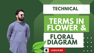 Technical terms in Flower and Floral diagrams  Fsc Bio practical [upl. by Stilwell]