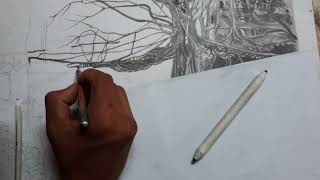 Double Decker Living Root Bridge Jingkieng jri Hyperlapse Drawing [upl. by Annat]