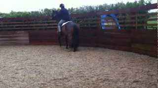 First trot on unrideable horse to defuse bucking [upl. by Arramahs]