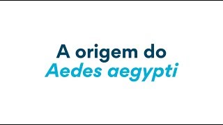 Explicação em Libras Sobre Aedes Aegypti Mosquito da dengue [upl. by Nnel]