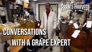 Conversations with a Grape Expert [upl. by Nehtiek127]