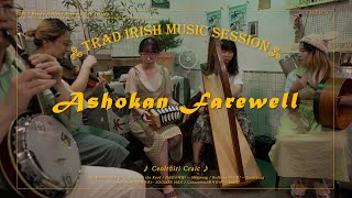 Ashokan Farewell With Celtic Harp Tin Whistle Fiddle Concertina Bodhran [upl. by Iznyl]