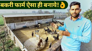 मॉडर्न बकरी फार्म ऐसे बनायेHow to MakeStart Goat Farm in hindiShed design India 9350146903 [upl. by Sanderson]