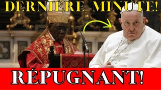 Les ÉVÊQUES AFRICAINS se RÉBELLENT contre lAGENDA HÉRÉTIQUE du VATICAN [upl. by Lizned422]