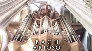 JS BACH  ARIOSO  THE ORGAN OF ST LAMBERTI MÜNSTER GERMANY  JONATHAN SCOTT [upl. by Capwell]