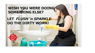 Want clean toilet tank or bowl Bleach tablets ONLY clean the tank Flush n Sparkle cleans the bowl [upl. by Ekeiram]