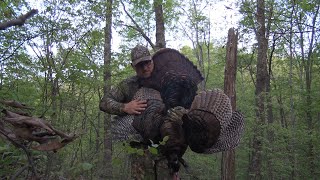 Straight off the roost Tennessee turkey season 2023 3 [upl. by Beaufort979]