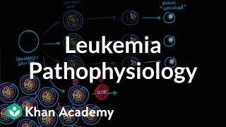 Leukemia pathophysiology  Hematologic System Diseases  NCLEXRN  Khan Academy [upl. by Tdnaltroc]