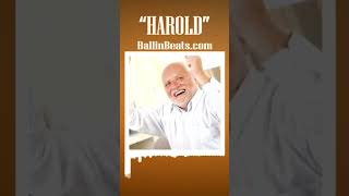 HAROLD beats typebeat typebeats [upl. by Derian]