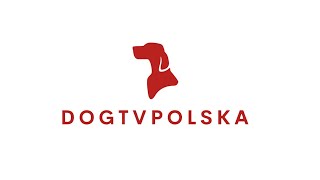 Najpiękniejsze polskie psy Studio DOGTVPOLSKA na Krajowej Wystawie Psów Rasowych ZKwP w Legionowie [upl. by Uird]