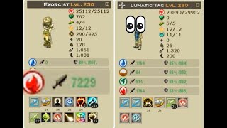 WAKFU 230 PvP XelorHuppermage [upl. by Ahsratan]