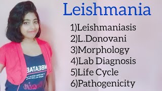 Leishmania Leishmaniasis Kalaazar Morphology amp lab diagnosis including its life cycle [upl. by Eissolf]