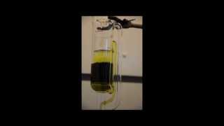 Soxhlet Extraction of Algae Oil [upl. by Oag]