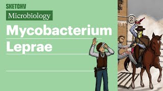 Mycobacterium Leprae Microbiology  USMLE Step 1  Sketchy Medical [upl. by Debo]