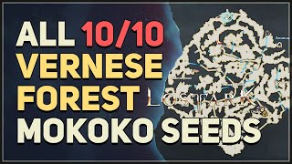 All 10 Vernese Forest Mokoko Seed Locations Lost Ark [upl. by Garbers562]