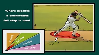 How to cricket batting tips 7 ways to increase power [upl. by Yde]