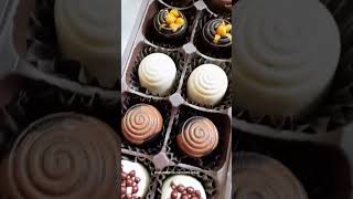 Assorted Chocolates business shorts chocolate homemade gift food [upl. by Weisbrodt]