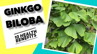 10 Health benefits of Ginkgo  Herbal Medicine [upl. by Tobit398]