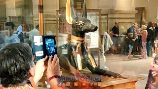 أنوبيس في المتحف المصري بالتحرير Anubis in the Egyptian Museum egypt مصر egyptian history [upl. by Alram276]