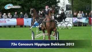 23062012 Dokkum Concours Hippique 2012  RTV NOF [upl. by Rehpotsirhk]