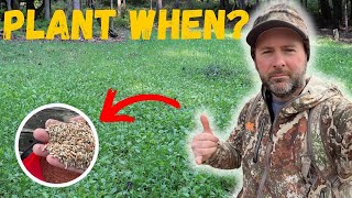 Most Important Fall Food Plot Planting Video To WATCH [upl. by Avir]