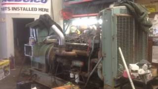 16v71 Detroit Diesel [upl. by Janenna]