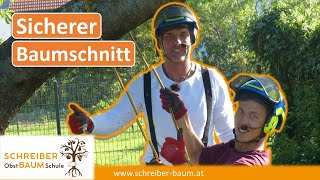 So schneidest du jeden Obstbaum sicher Baumklettern vom Profi erklärt [upl. by Eenafit47]