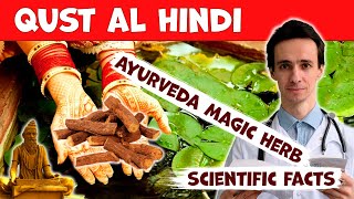 Qust Al Hindi Costus unique Indian herb What does the science say How to use Contraindications [upl. by Neyugn]