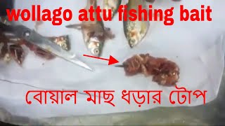 wallago attu fishing bait বোয়াল মাছ ধড়ার টোপ how to make wallago attu fishing bait catfish [upl. by Endres]