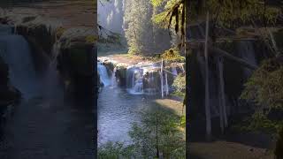 Just another magnificent waterfall along the Lewis River in the Gifford Pinchot National Forest USA [upl. by Avilo]