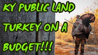 KY PUBLIC LAND TURKEY HUNT BUDGET CHALLENGE  I DID THIS FOR HOW MUCH [upl. by Lefkowitz537]