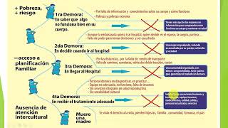 Cómo evitar la Morbilidad Materna Extrema y Mortalidad Materna Para N 5 [upl. by Yrreg]