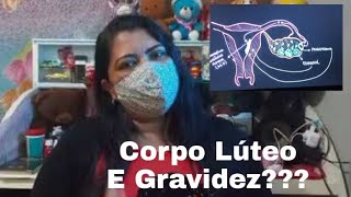 Corpo Lúteo e Sinal de GravidezSerá que Estou GrávidaSerá [upl. by Truda]