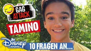 Zehn Fragen an Tamino  Gag Attack 🤣 [upl. by Lede]