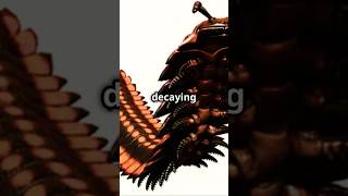 Meet Arthropleura The Giant Millipede of Prehistoric Times shorts [upl. by Trevethick]