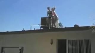 Mallorca  Balconing Fail Magaluf  OMG 2016 [upl. by Gusty]