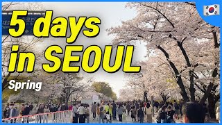 SEOUL 5 day itinerary in spring Local Recommendation  Korea Travel Tips [upl. by Macintyre]