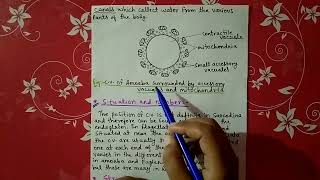 osmoregulation in protozoa  explain in Hindi [upl. by Kennith]