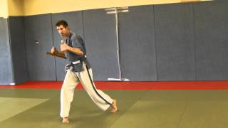 TONFA NO KATA GODAN  école YOSEIKAN  par Christian Jongloed [upl. by Lustig711]