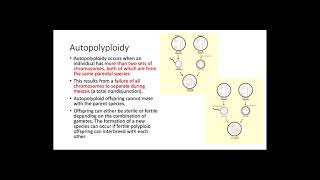 Polyploidy [upl. by Chenee]