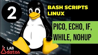 Parte2 Tutorial de Bash Script en Linux Comando echo y uso de variables [upl. by Giraldo]