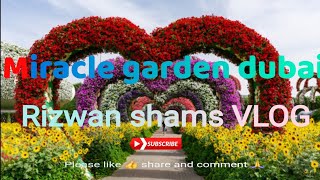 miracle garden dubai world 🌎 largest flower 🌼 gardenflowermiraclesofloveRizwanShamslf7fo [upl. by Nitsud]